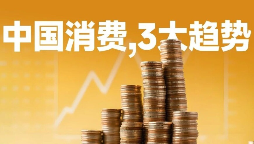 2025年香港正版资料免费公开,一口气看海贼最终章主线,成语解释落实可能存在的问题_模拟版V6.83